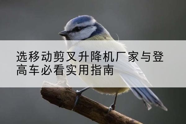 营山电动升降机厂家-选移动剪叉升降机厂家与登高车必看实用指南