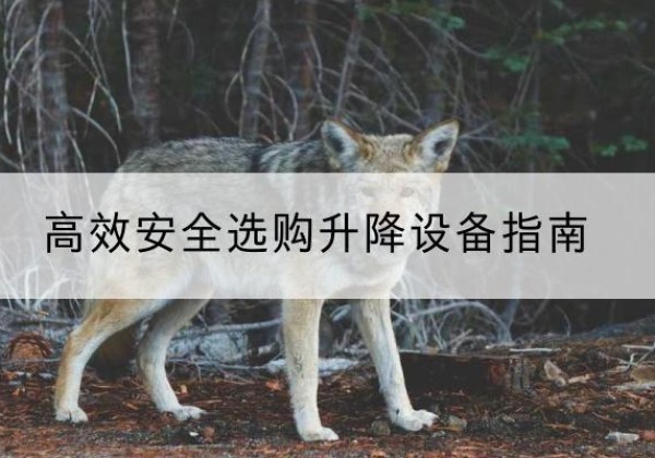 营山升降货梯厂家推荐-*安全选购升降设备指南