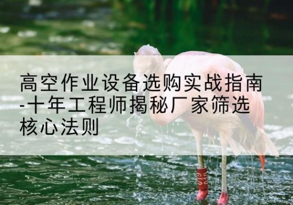 营山剪叉式升降机厂家-高空作业设备选购实战指南-十年工程师揭秘厂家筛选核心法则